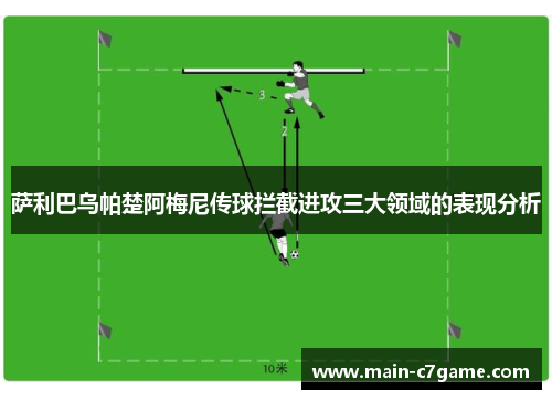 萨利巴乌帕楚阿梅尼传球拦截进攻三大领域的表现分析
